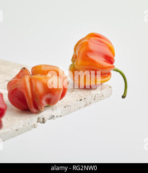 Bunte Scotch Bonnet Chili, Essen still life Foto Stockfoto