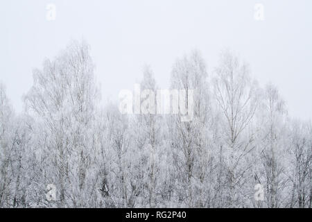 Schöne Winterlandschaft mit Blick auf das Dorf von gefrorenem Schnee an einem kalten Tag. Stockfoto
