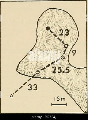 . Die kanadische Feld - naturforscher. 346 Die kanadische Field-Naturalist der Förster BAY Vol.92. lll eine â^15 m''47,5^^--^ Ich (nicht markierten Personen) SEITE II (Nr. 5-0", 28-9). Bitte beachten Sie, dass diese Bilder sind von der gescannten Seite Bilder, die digital für die Lesbarkeit verbessert haben mögen - Färbung und Aussehen dieser Abbildungen können nicht perfekt dem Original ähneln. extrahiert. Ottawa Field-Naturalists' Club. Ottawa, Ottawa Field-Naturalists' Club Stockfoto