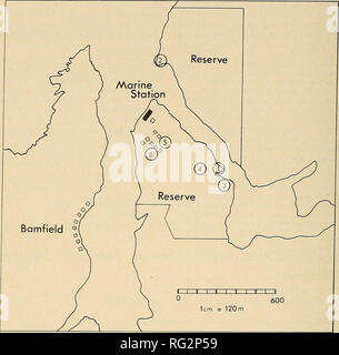 . Die kanadische Feld - naturforscher. 306 Die kanadische Field-Naturalist Vol. 91. Abbildung I. Lage der sechs flechten Sammelstellen in der Bamfield Marine Station finden. Jahr, von denen die Hälfte kommt im Monat Januar. Die Anzahl der Tage pro Jahr, die messbaren Niederschlag ist 162, und die mittlere jährliche Niederschlagsmenge beträgt etwa 280 cm (110 Zoll). Geologie Bamfield ist an der Westküste von Vancouver Island. 13 Kilometer östlich der Siedlung, die Berge der Somerset Bereich steigen Sie vorsichtig von der relativ geringen Relief der Küste. Ein grosser Teil der Küste ist weniger als 50 m hig Stockfoto