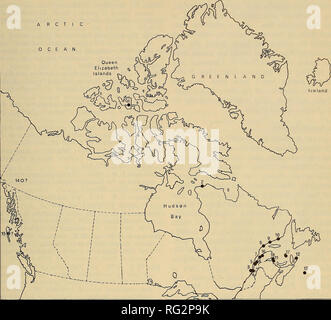 . Die kanadische Feld - naturforscher. 1975 Harington: Postglaziale Walross von Bathurst Island, N.W.T. 259 Arktischen Ozean. Abbildung 6. Einige Quaternäre Walross (Odobenus rosmarus) Datensätze für Kanada. Jeder Punkt steht für eine oder mehrere Exemplare. 1. Bathurst Island, N. W.T.; 2. Tyara Sugluk, Quebec (Website); 3. Ballen St. Paul, Que-Bec; 4. La Pocatiere, Quebec; 5. Bic, Quebec; 6. Rimouski, Quebec; 7. Matane, Quebec; 8. La Chaloupe, Quebec; 9. Havre St. Pierre, Quebec; 10. Kegashka Lake, Quebec; 11. Tracadie, New Brunswick; 12. Bridgeport, Neuschottland; 13. Sable Island, Nova Scotia; 16; Les Capucins, Quebec; Eintrag Stockfoto