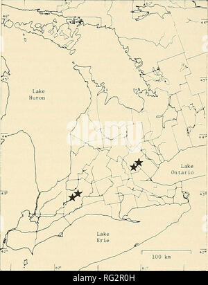 . Die kanadische Feld - naturforscher. 1978 Notizen 197 Auftreten von Carex careyana in Kanada Peter W. Ball Abteilung der Botanik, Erindale College der Universität Toronto in Mississauga, Ontario L5L 1C6 Ball, Peter W. 1978. Auftreten von Carex carevana in Kanada. Kanadische Field-Naturalist 92(2): 197-198. Carex careyana ist eine seltene segge in Kanada. Es wurde zuerst von Klugh (1906) von Guelph, Ontario aufgezeichnet. MacKenzie (1935) und Soper (1949) erwähnte auch das Vorkommen dieser Arten in Ontario, aber diese beiden Datensätze scheinen auf der Basis von Proben durch Klugh worden zu sein. Die Art hat auch sein Stockfoto