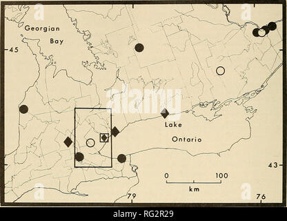 . Die kanadische Feld - naturforscher. 176 Die kanadische Field-Naturalist Vol. 92. Abbildung. Verteilungswirkungen Aufzeichnungen von Salamander der Amhysionw jeffersonianum Komplex im südlichen Ontario. Hohl Symbole stellen veröffentlichten Aufzeichnungen, feste Symbole unveröffentlichte Aufzeichnungen. Kreise siehe A. tremblayi, Diamanten zu A. platineitm und der Platz zu A. jeffersonianum. Hinweis Die Kombination Symbol aus einem hohlen Square und solide Diamanten. von tremblayi geändert, und 14471, von A. A.J. Jeffersonianum nach A. von USNM4822 und USNM j. Zu A. fuscum tremblayi. Ambystoma platineum Diese Sorte hat abschließend-id Stockfoto