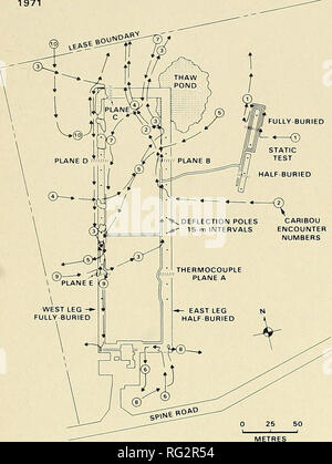 . Die kanadische Feld - naturforscher. 60 Die kanadische Field-Naturalist Vol.95 PRUDHOE BAY TEST SITE CARIBOU - PIPELINE BEGEGNUNGEN 1971. Abbildung 3. Schematische Darstellung zur Veranschaulichung von Routen von Karibu in 10 pipeline Begegnung Episoden von 23. Juli bis 2. August 1971 beteiligt. Detaillierte Routen werden gezeigt, Vermeidung von höher (1,7 m) Bermen in Südosteuropa Sektor und Pools von Wasser in der Setzung der Krater im Nordwesten zu illustrieren. Dass der Karibus begegnen "Topographische beschränken-ment" in einem nahe gelegenen Studie (Child 1974). Diese Bereiche wurden durch das Hinzufügen von topsoii im April 1972 zurückgefordert, so dass die Stockfoto