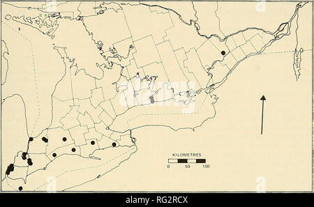 . Die kanadische Feld - naturforscher. 1978 Notizen 75. Abbildung 1. Die Ontario Verteilung der Lvthrum alatum, wie aus der folgenden Herbaria bekannt: KÖNNEN, DAO, OAC, QK, TRT, und UWO. Neu England Staaten, aber die frühen Datum von 1898 (oder 1889) weist darauf hin, dass es wahrscheinlich von einheimischen Ursprungs war. Die Carleton County Städte und Gemeinden sind in der Mitte des Ottawa-Carleton regionalen Wald. Die Prairie Weiß gesäumten Orchid (Habenaha leucophaea), eine Art über den unteren großen Seen zentriert, hat erst vor kurzem hier berichtet und war früher aus der Nähe von Port Hope in Durham County (Reddoch 1977) bekannt. Diese occurre Stockfoto