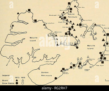 . Die kanadische Feld - naturforscher. 1978 Maltby: Vögel von Melville Island, N.W.T. 27. Legende 1973 1975 Brent A A Schnee Gänse^O K. ng Elder Q Abbildung 2. Standorte der bruten von Brent, Schnee Gänse, und König Eiderenten gesichtet auf Melville Island in den Jahren 1973 und 1975. in Yukon und westlichen Mackenzie, südlichen Keewatin und nach Süden. Ein paar in Consett Kopf vom 12. Juli 1974; Erster Datensatz für Melville Insel. Rauen-legged Hawk (Buteo lagopus). Eine an der Dundas Halbinsel 10 Juli 1973; am Bailey Punkt 26. Juni und 3. Juli 1974; beide waren dunkle Phase Vögel. Keine in 1975 gesehen. Gyrfalcon {Falco rusticolus). Ein gesehen 6 km Stockfoto