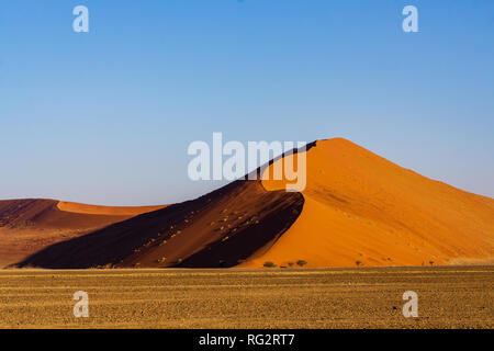 Sanddünen in der Namib Wüste im Morgengrauen, Roadtrip in der wunderschönen Namib Naukluft National Park, Reiseziel in Namibia, Afrika. Morgen Licht ein Stockfoto