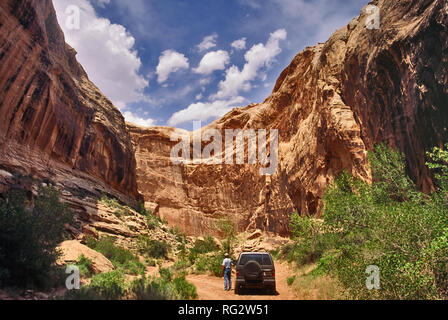 Black Dragon Canyon in der Nähe von Black Dragon Piktogramm Panel, San Rafael Reef, Utah, USA Stockfoto