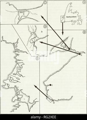 . Die kanadische Feld - naturforscher. Natural History; Baron. 2005 Mann und Nambudiri: Charophytes abgeschottete Neufundland II 27. Abbildung 1. Lage von Sammelstellen in der Insel Neufundland. A. in der Studie von südwestlichem Neufundland inset. B. Küsten Neufundlands von Leamington nach Port-au-Port Halbinsel: (a) Kies Teich, (b) St. George's Teich, (c) Codroy Mündung Teich, (d) Leamington. C. in der Isthmus von Port-au-Port Halbinsel: (a) Kies Teich. Gestrichelte Linien zeigen die Straßen. D. in der St. George's Bay: (a) im Darm, (b), (c) der St. George's Teich. Gestrichelte Linien zeigen Stockfoto