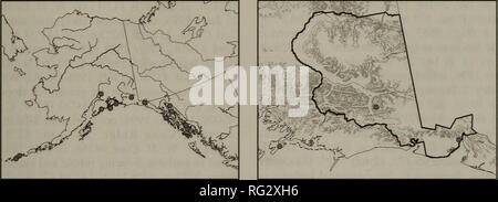 . Die kanadische Feld - naturforscher. Natural History. 21. Agrostis mertensii. 22. Agrostis thurberiana. Bitte beachten Sie, dass diese Bilder sind von der gescannten Seite Bilder, die digital für die Lesbarkeit verbessert haben mögen - Färbung und Aussehen dieser Abbildungen können nicht perfekt dem Original ähneln. extrahiert. Ottawa Field-Naturalists' Club. Ottawa, Ottawa Field-Naturalists' Club Stockfoto