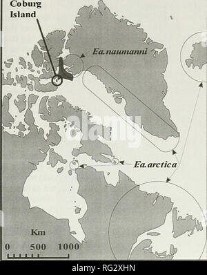 . Die kanadische Feld - naturforscher. 2000 RoBARDS, Gilchrist, und Allard: Zucht Papageientaucher 73 Co burg Insel. Abbildung 1. Karte Coburg Island, der Northwater Polynja (schattierte Region zwischen Coburg Island und Grönland), und der Bereich der Zucht Papageitaucher Kolonien für beide F. a. arctica und F. ein. nau - 0 5 10 UujJ ich Km. Bitte beachten Sie, dass diese Bilder sind von der gescannten Seite Bilder, die digital für die Lesbarkeit verbessert haben mögen - Färbung und Aussehen dieser Abbildungen können nicht perfekt dem Original ähneln. extrahiert. Ottawa Field-Naturalists' Club. Ottawa, Ottawa Feld - Stockfoto