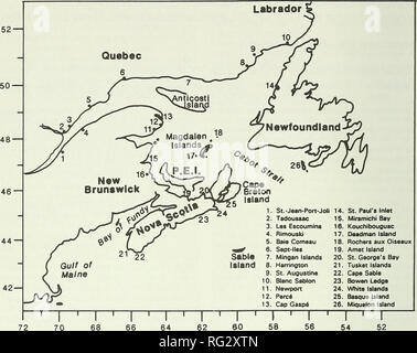 . Die kanadische Feld - naturforscher. 330 Die kanadische Field-Naturalist Vol. 107. 1. St.-Jean-Pon-Joli 14 2. Tadoussac 3. Les Escoumiru 4. Rimouski 5. Baie Comeau 6. Sept. - llaa 7. Mingan Inseln 8. Harrington 9. St. Augustinus 10. Blanc Sablon 11. Newport 12. Pare * 13. Cap GaspA - I - St. Paul's am 15. MiramichI Bay 16. Kouchlbouguac 17. [&Gt; eadman Insel 18. Rochers aux Olseaux 19. Amet Insel 20. St. George's Bay 21. Tusket Inseln 22. Cape Sable 23. Bo wen Leiste 24. Weiße Inseln 25. Baskische Insel 26. Miquelon Insel Abbildung 1. Studie und Lage der Stellen im Text erwähnt. Bowen 1990). Stockfoto