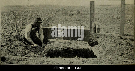 . Die kanadische Feld - naturforscher. Natural History. Platte I.. Zeigt die Art der Sammlung von Clover Wurzeln für die Analyse. Bitte beachten Sie, dass diese Bilder sind von der gescannten Seite Bilder, die digital für die Lesbarkeit verbessert haben mögen - Färbung und Aussehen dieser Abbildungen können nicht perfekt dem Original ähneln. extrahiert. Ottawa Field-Naturalists' Club. Ottawa Stockfoto