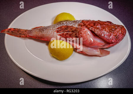 Frische ganze Skorpionfische bereit zu Kochen. Ansicht von oben Nahaufnahme von frischen Meeresfrüchten auf einem weissen Teller, mit geschnittenen Zitronen an der Seite. Stockfoto
