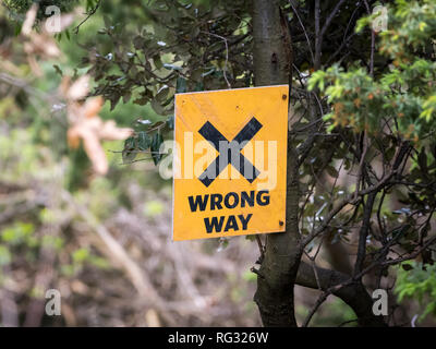 Nahaufnahme von einem gelben falsch Schild an einem Baum Stockfoto