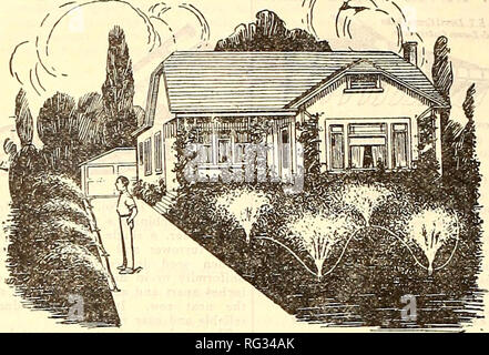 . Kalifornien im Garten arbeiten. Baumschulen (Gartenbau) Kataloge; Blumen Samen Kataloge; Pflanzen, Zierpflanzen, Gemüse Samen Kataloge Kataloge Kataloge; Bäume, Gräser, Samen Kataloge; Gartengeräte und Zubehör Kataloge. Rasenmäher "p&gt; Sprinkler. HA WES ALL-IN-ONE Installation einer Sprinkleranlage Y/hne die großen Kosten der Rohrleitungen Ihre ganzen Ort. Verwenden Sie einfach einen Satz der Hawes All-in-One-Sprinkler mit einem 50 ft. Länge von %" Schlauch. Jede Sprinkleranlage ist mit einem vollen Kreis spray ausgestattet, % Kreis Spray und vollständigen Abschaltung. Satz von vier kom- plette mit Schlauch-Klemmen und Stecker S 3,50 Stockfoto