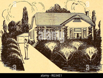 . Kalifornien im Garten arbeiten. Baumschulen (Gartenbau) Kataloge; Blumen Samen Kataloge; Pflanzen, Zierpflanzen, Gemüse Samen Kataloge Kataloge Kataloge; Bäume, Gräser, Samen Kataloge; Gartengeräte und Zubehör Kataloge. Rasenmäher&lt;o Sprinkler. POPUP RASEN DUSCHEN HAWES ALL-IN-ONE Installation einer Sprinkleranlage ohne großen Aufwand von Rohrleitungen ihre ganzen Ort. Verwenden Sie einfach einen Satz der Hawes All-in-One-Sprinkler mit einem 50 ft. Länge von 3/4"-Schlauch. Jede Sprinkleranlage ist mit einem vollen Kreis Spray, V2 Kreis Spray und vollständige Abschaltung ausgestattet. Satz von vier kom- plette mit Schlauch-Klemmen und Stockfoto