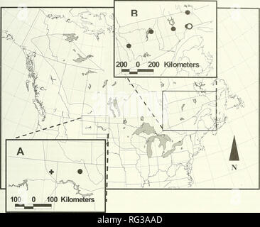 . Die kanadische Feld - naturforscher. 2004 Perry, Stewart, Madden, und Maier: Arktis und Marine Spitzmäuse 401. Abbildung 1. Vorgeschlagen für Sorex arcticus. Nebenstellen hierin dargestellt und reicht von Peterson (1966) und van Zyll de Jong (1983 b). Einsätze: Ein "+" zeigt die Lage von Montana S. arcticus Sammlungen. Medicine Lake National Wildlife Refuge. • Zeigt an, dass der nächste bekannte, Lostwood National Wildlife Refuge, North Dakota. B. o Zeigt die Position des Quebec S. arcticus Sammlung, andere Punkte (•) Lage der historischen Sammlungen in Quebec. spp. zeigen Stockfoto