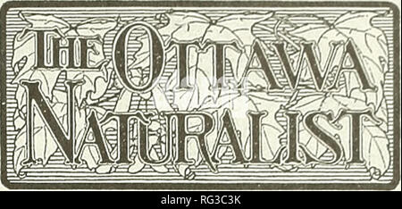 . Die kanadische Feld - naturforscher. 2004 Brunton: Die Ottawa Field-Naturalists' Club 15 EINE NATIONALE Rolle (1918-graf.y1940s) Percy Taverner (1875-1947) hat nicht viel von Ottawa oder Ottawa naturahsts, als er 1911 als erste Ornithologe des National Museum (Cranmer - Byng 1996) angekommen. Kurz nach der Ankunft beschwerte er sich zu einem Detroit Freund, "Wir haben einen Club hier, die Ottawa Nat-uralists, der viel auf eine Gleichheit mit den Detroit Bündel sind. Sie haben ein schönes Picknick jede Woche, aber sie sind kein Platz für Dich und mich. Das Schlimmste daran ist, dass Sie alle Arten der Richtung mit gute Menschen. Fletcher, M Stockfoto