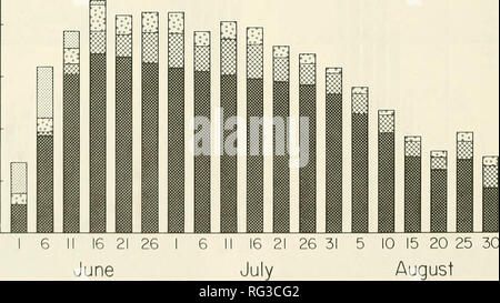 . Die kanadische Feld - naturforscher. Alle Jahre. 10 10 15 20 25 30 August ABBILDUNG 4. Teilnahme und Zucht Status der Nördlichen Eissturmvögel in zwei Jahren mit kontrastierenden Ebenen der Bruterfolg (1976 und 1981) und eine allgemeine Muster auf einem Durchschnitt von fünf Jahren. Balken stellen die durchschnittliche tägliche Teilnahme an Brutstätten in 5-Tages Intervallen Anfang an den angegebenen Tagen. Zwei Vögel in jede Seite ihrer Zusammensetzung 100% Teilnahme.. Bitte beachten Sie, dass diese Bilder aus gescannten Seite Bilder, die digital für die Lesbarkeit verbessert haben mögen - Färbung und Aussehen Dieser Lllustrat extrahiert werden Stockfoto
