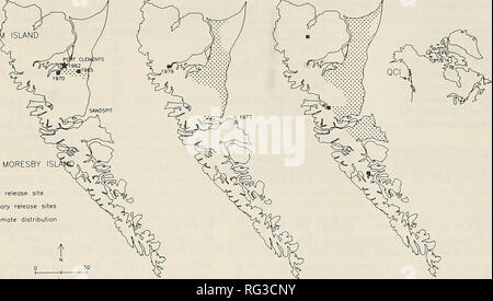 . Die kanadische Feld - naturforscher. 1990 Notizen 289 &Lt;3 1970 Q 1979&lt;s 1988 GRAHAM ISLAND. MORESBY â^Original Release site " Sekundäre release Seiten ungefähre Verteilung Abbildung 1. Geografische Verteilung der Pacific treefrog, Hyla regilla, auf den Queen Charlotte Islands, British Columbia. Ortsnamen, die im Text verwendet werden, eingeschränkt. Beobachtet bis zu 10 km südlich von Mayer See (L. Rennie, persönliche Mitteilung) und 1978 traten weitere 30 km in Richtung Süden. 1986, beobachtete ich sie in allen großen wasserscheiden der zentralen und östlichen Graham Island. Streuung Stockfoto