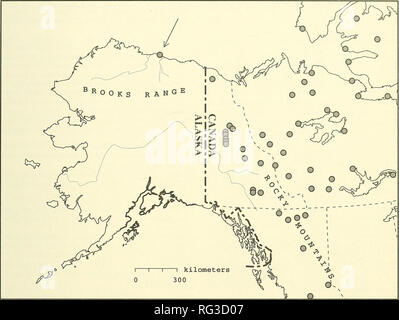 . Die kanadische Feld - naturforscher. 1992 Notizen 261. Abbildung 1. Sammelstellen für Saxifraga aizoides im westlichen Nordamerika. Kanadische Sammlungen zusammengestellt von Karten in Porsild (1957), Hulten (1968), Porsild und Cody (1980), und von den neuen Posten zugeordnet von W. J. Cody. Die neue Kollektion von der Prudhoe Bay, Alaska wird durch den Pfeil gekennzeichnet. Sommer (1989), S. aizoides in Alaska gesammelt wurden, war es auch in der Britischen Berge im Nordwesten von Yukon Territorium gesammelt, ganz in der Nähe der Alaskanischen Grenze (W. J. Cody, persönliche Kommunikation; Abbildung 1). S. aizoides in Prudhoe Bay kann in der werden. Stockfoto