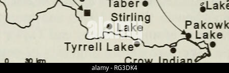 . Die kanadische Feld - naturforscher. Natural History. N V Camas Nationalen | Ich Wildlife Refuge I l^ ho j Groß. Hill^P?o^J." F^a%. Rosebud • Calgary â â¢. Strathmore Â© Juwel EagletsStobart See see Frank Lake Rantrv Louisiana Ich "^^"^'^y • • See Newell Â" ^.^. Scandia â¢â¢ Kminvie Lost Lake * • Hays Etzikom Coulee Lethbridge ^^Murray. See Tyrrell See*^ Crow Indian * See FiGLTiE 1. Verteilung der "White-faced Ibis Records (â ¢) im westlichen Kanada. (Eine unbestätigte Datensatz für Ostkanada [siehe Text]). Dezember 1984. Ist die Glossy Ibis nicht Bericht in der benachrichtigen Stockfoto