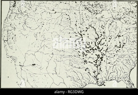 . Die kanadische Feld - naturforscher. 1990 GOODCHILD: STATUS DER BiGMOUTH BÜFFEL 89. Abbildung 2. Nordamerikanische Verteilung der Bigmouth Büffel, Ictiobus cyprinellus (von Lee et al angepasst 1980). Erie und anscheinend Gelegentlich (Sparse) im kanadischen Teil des Sees könnte von der Temperatur Anforderungen dieser Arten erklärt werden. Seine allmähliche Bewegung in den kanadischen Gewässern kann das Ergebnis eines umfassenden chmatic Erwärmung. Erhöhte Trübung im See kann auch Zugang zu einer toleranten Arten wie der BIGMOUTH Buffalo. In einer neuen Studie, Fischarten, die das Potenzial haben, sich zu Stockfoto