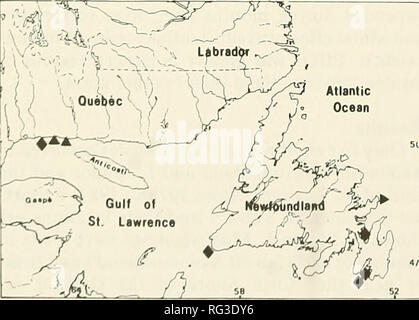 . Die kanadische Feld - naturforscher. 92 Die kanadische Field-Naturalist Vol. 103 Tabelle 1. Right Whale (Eubalaena glacialis) Sichtungen in Neufundland und Labrador Gewässer (1978-1987). Datum(en), gesehen durch Breitengrad/Längengrad Ort 10-21 Juli 1978 MUN1 47°05' N; 53°49' W Norman's Cove, Trinity Bay 25 August 1979 DFO 2 47° 00' N; 53°45' W St. Mary's Bay 6 Oktober 1981 MICS 3 50° 11' N; 65°06' W Sheldrake, North Shore, Quebec, 17. Februar 1984 MUN 47°33' N; 59°10' W-Kanal Kopf, Leamington 26-28 Juli 1984 MUN 46°45' N; 53°38' W Peter's River, der Holyrood Bay 'Memorial Universität von Neufundland. 2 kanadischen Ministerium für Stockfoto