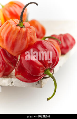 Bunte Scotch Bonnet Chili, Essen still life Foto Stockfoto