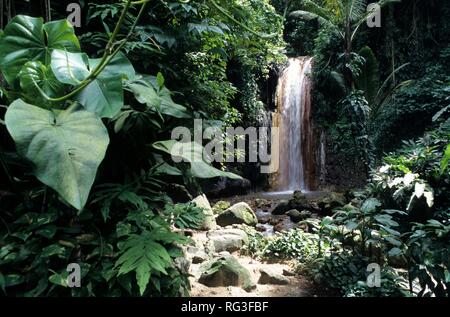 LCA, Saint Lucia: die Diamond Falls Wasserfall in der Nähe von Soufriere. Stockfoto