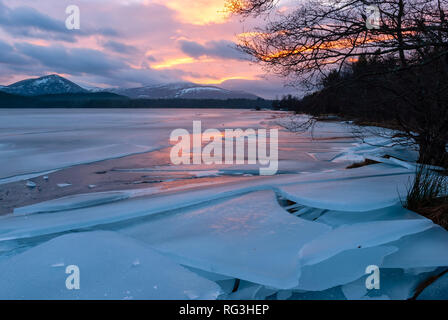 Loch Morlich, Aviemore, Badenoch, Schottland, Vereinigtes Königreich Stockfoto