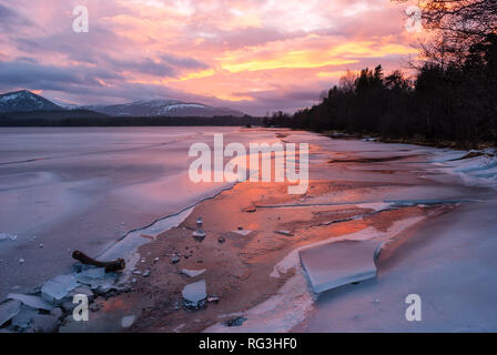 Loch Morlich, Aviemore, Badenoch, Schottland, Vereinigtes Königreich Stockfoto