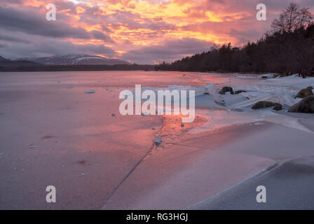 Loch Morlich, Aviemore, Badenoch, Schottland, Vereinigtes Königreich Stockfoto