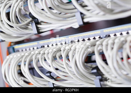 Gigabit Netzwerk Switch und perfekt ausgerichtet Patchkabel im Rechenzentrum Stockfoto