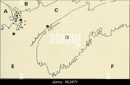 . Die kanadische Feld - naturforscher. 1992 Gaskin: Status der Schweinswal 41. Abbildung 5. Verteilung der Aufzeichnungen von S. phocoena in der atlantischen Region; diese Aufzeichnungen sind weitgehend auf der Basis von quantitativen Feldstudien zwischen 1971-1986. Geographische Merkmale: A. in Maine, B. in New Brunswick, C. in der Bucht von Fundy, D. in Nova Scotia, E. Golf von Maine, F. Atlantik. Bestimmte Gemeinden in Text: 1. Innere Quoddy Region, dies umfasst Passamaquoddy und Cobscook Buchten im Norden und Westen und Letite Passage, die Western Isles und Leiter Hafen Passage im Norden und Osten, 2. Die äußere Quoddy Region, 3. Stockfoto