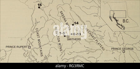 . Die kanadische Feld - naturforscher. Natural History. 224 Die kanadische Field-Naturalist Vol. 115. Abbildung 1. Karte von Studie zeigt relative Abstände zwischen den Gemeinden. Städte und Gemeinden 1-5: Hudson Bay Mountain, Bulkley Bereich (Hazelton Mountains). Städte und Gemeinden 6-13: Babine (Skeena Mountains). Lokalität 14: Tsezakwa Creek (Nechako Plateau). Lokalität 15: Bear River Pass, Boundary (Coast Mountains). Cameron (1986) identifizierten M. cookei aus vier Gemeinden; drei wurden in den Chilliwack Tal im Südwesten Festland British Columbia, und man wurde an der Buttle Lake auf Vancouver Island (Ca. 49°41'N, Stockfoto