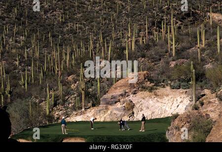 USA, Vereinigte Staaten von Amerika, Arizona: Golf cours in Tucson. 3. Loch an Ventana Canyon Golf und Raquet Club. Stockfoto