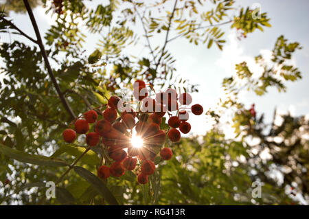 Licht herausfindet, immer Stockfoto