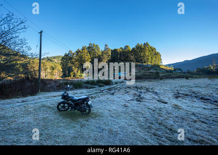 Frost in Munnar Stockfoto