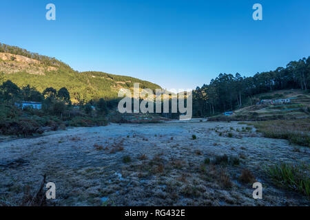 Frost in Munnar Stockfoto