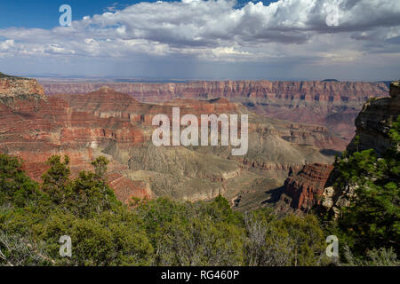 Blick von der Cape Royal Bereich über dem Grand Canyon (ca. Norden Osten), Grand Canyon North Rim, California, United States. Stockfoto