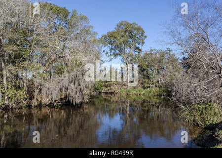 Spanische Moos bedeckt Bäume im Wasser tief im Louisiana bayou mit klaren blauen Himmel widerspiegelt Stockfoto