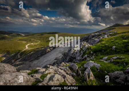 Kleiner Patch von Schnee im Sommer mitten in der grünen Wiese in raxplateau Stockfoto