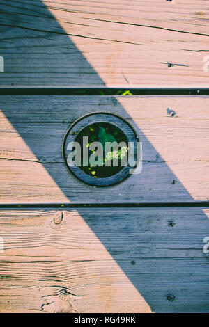 Holz- Hintergrund. Grüne Pflanzen- und Holz- Hintergrund. Stockfoto