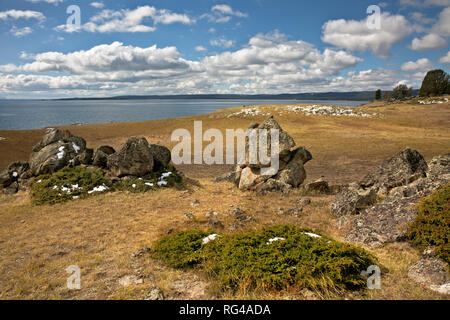 WY 02986-00 ... WYOMING - Felsen in der Wiese mit Blick auf den Yellowstone Lake in der Nähe von Sturm Punkt im Yellowstone National Park. Stockfoto