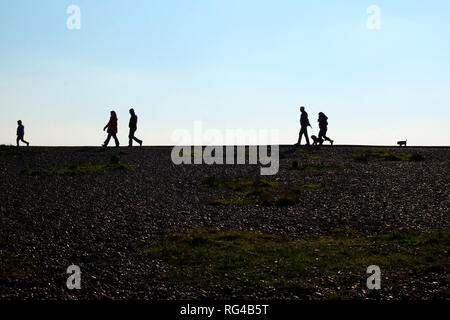 Im Vordergrund ist ein Kieselstrand am Ende des Strandes sind fünf nicht erkennbare Personen und zwei Hunde, auf der linken Seite ist ein kleiner Junge, gefolgt Stockfoto