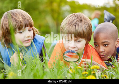 Kinder liegen im Gras und Blick auf die Natur als ein Forscher zusammen mit der Lupe Stockfoto