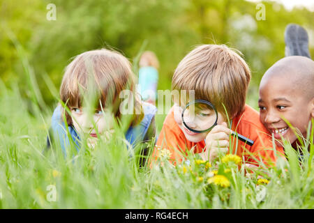 Drei Kinder im Gras zu erkunden und die Natur und die Umwelt mit der Lupe entdecken Stockfoto