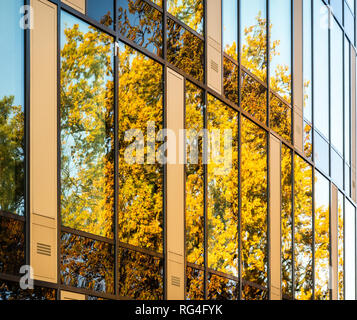 Zusammenfassung Abschnitt eines modernen Gebäude mit Glasfassade, in dem ein Baum widerspiegelt Stockfoto